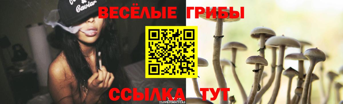 где купить наркоту  Вход с VPN  Трёхгорный  Галлюциногенные грибы ЛСД  Псилоцибиновые грибы Magic Shrooms 